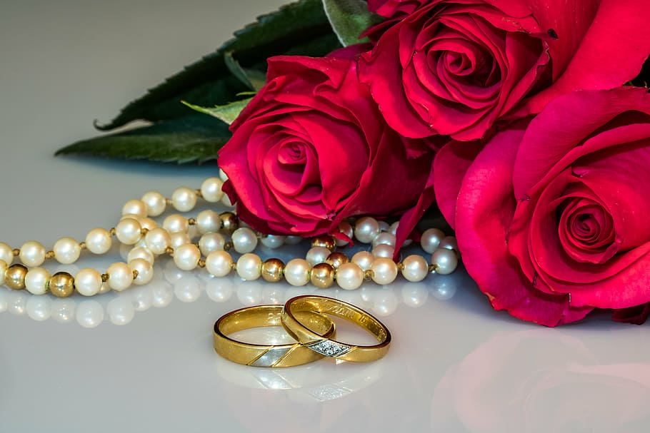 white and gold pearl necklace beside two gold-colored wedding bands and pink roses, HD wallpaper