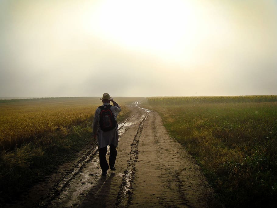 man in brown fedora hat and red backpack walking on path beside green field during daytime HD wallpaper