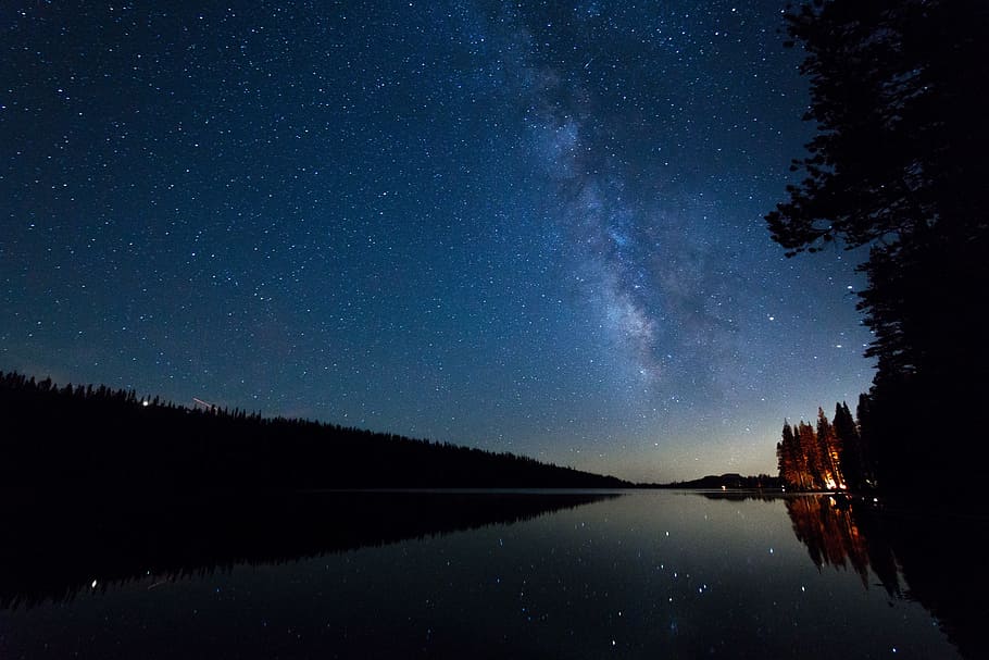 lake, water, reflection, blue, sky, night, stars, trees, plant HD wallpaper