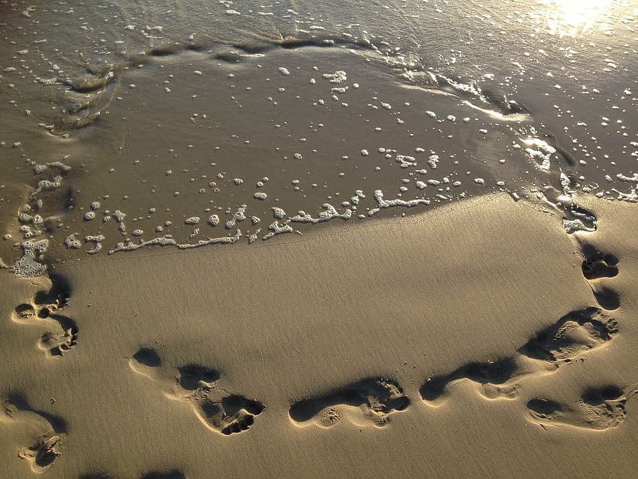 human foot print on seashore, sand, footprints, water, beach HD wallpaper