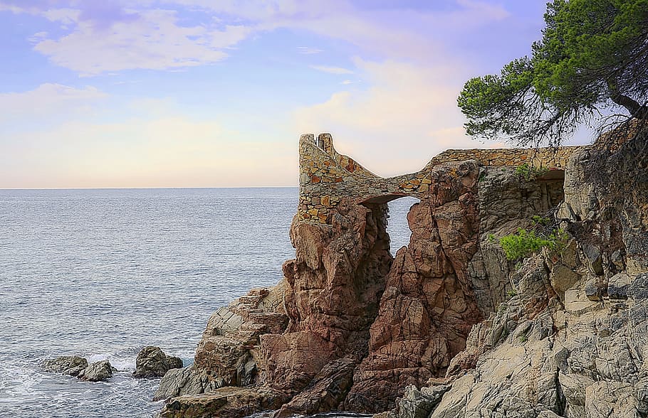 View, Sea, Rock, France, South, side, magnificent, tree, green HD wallpaper