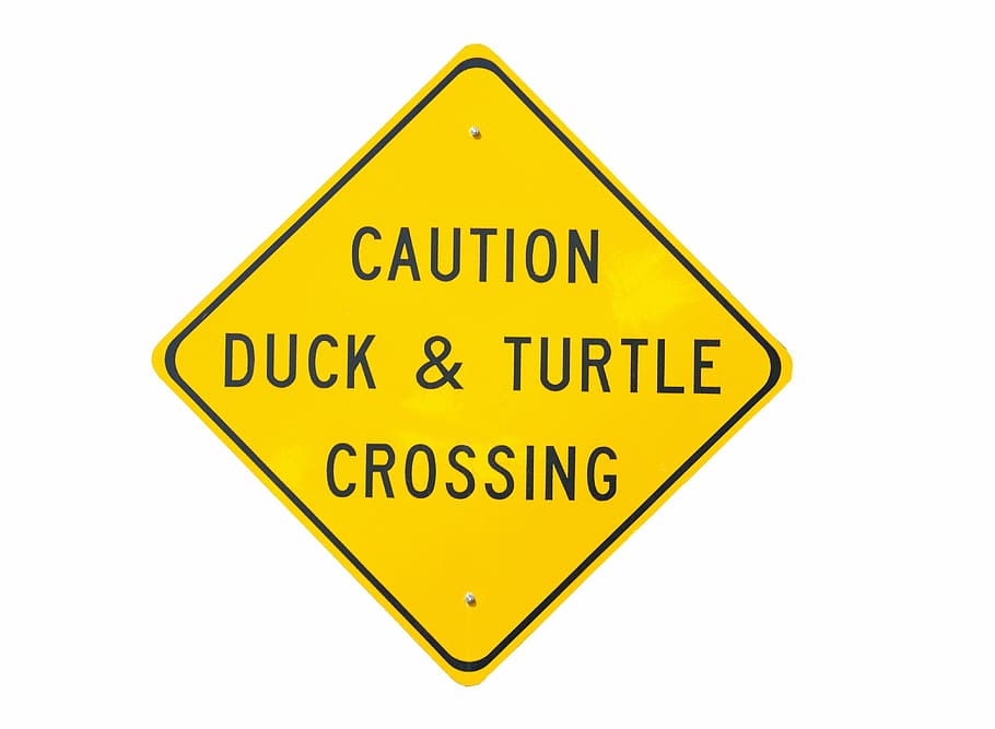 caution duck & turtle crossing signage, duck and turtle, warning