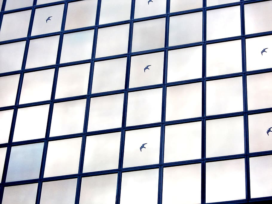 window, glass, modern, architecture, disc, glass facade, mirroring HD wallpaper