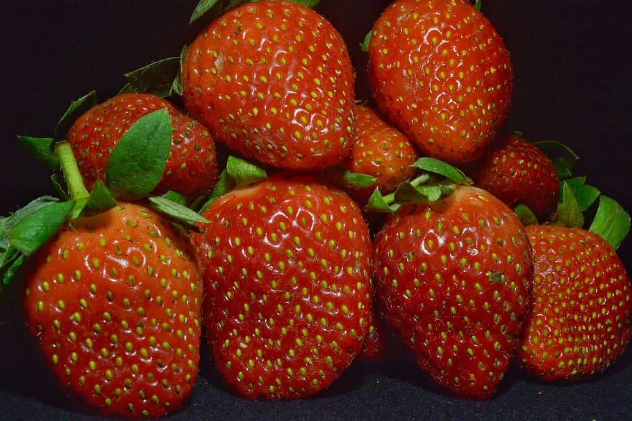 strawberry, fruit, red, fresh, nature, healthy, food, food and drink HD wallpaper