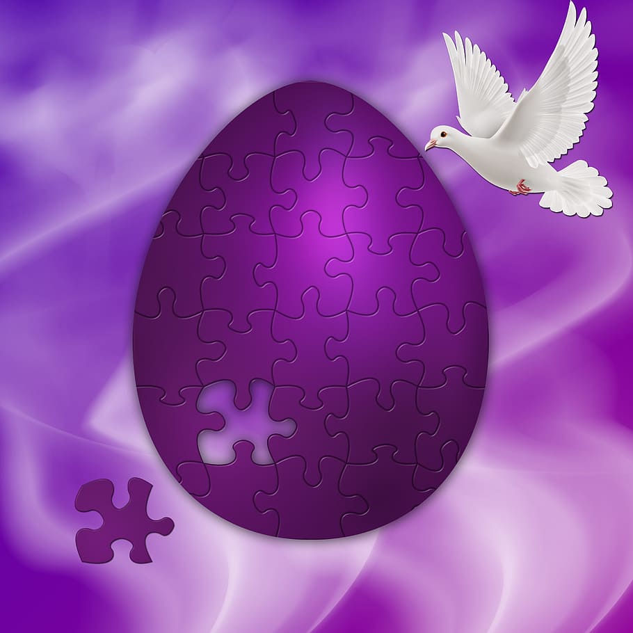 easter, celebration, paloma, background, background violet HD wallpaper