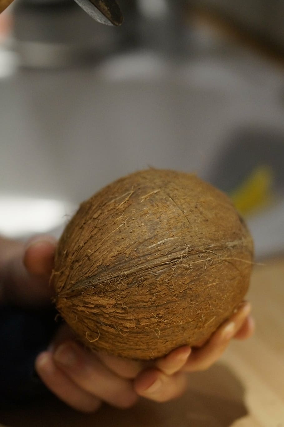coconut, detention, keep, human hand, one person, food, food and drink HD wallpaper