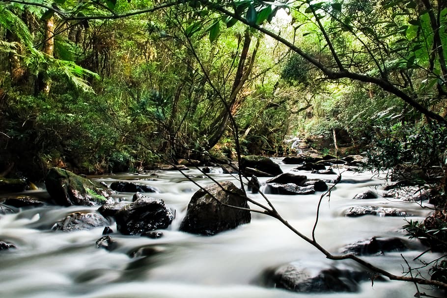 Nature, Rapids, rio, water, no people, river, outdoors, motion HD wallpaper