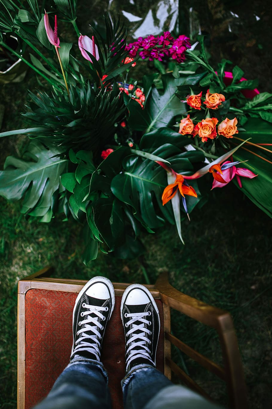 Colorful Exotic Flowers and Greenery, flora, leaf, leaves, tropical HD wallpaper