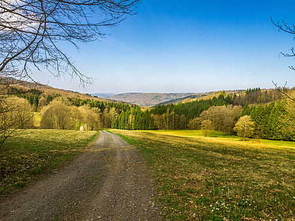 Landscape, Away, Spring, Nature, Sky, meadow, mood, field, trees HD wallpaper