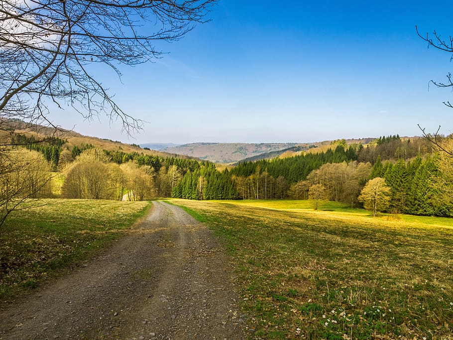 Landscape, Away, Spring, Nature, Sky, meadow, mood, field, trees HD wallpaper