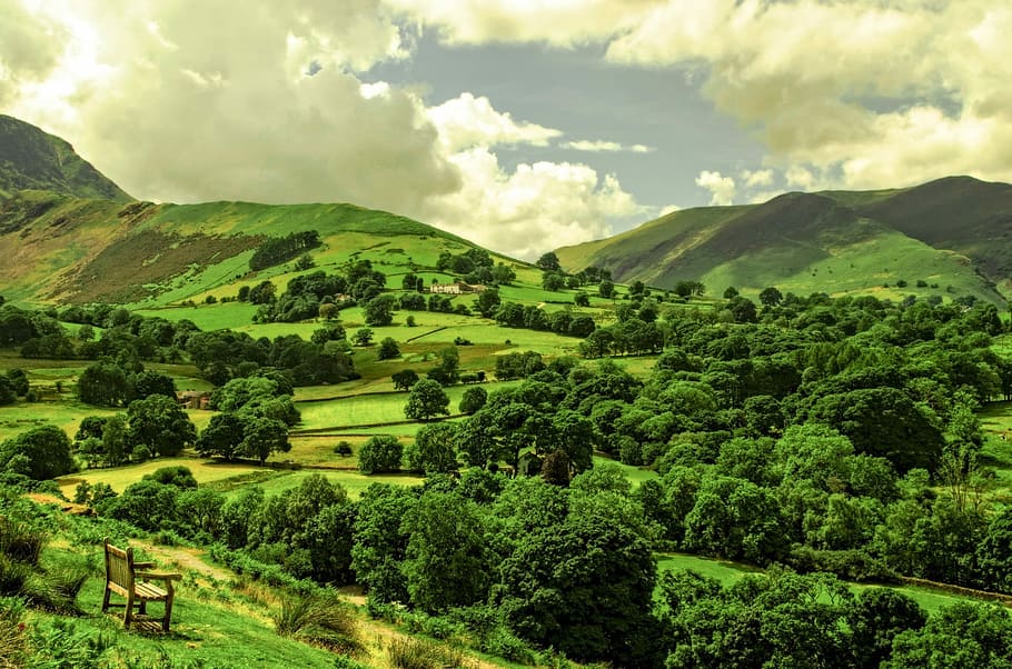 green leafed trees during daytime, Landscape, Spring, England HD wallpaper