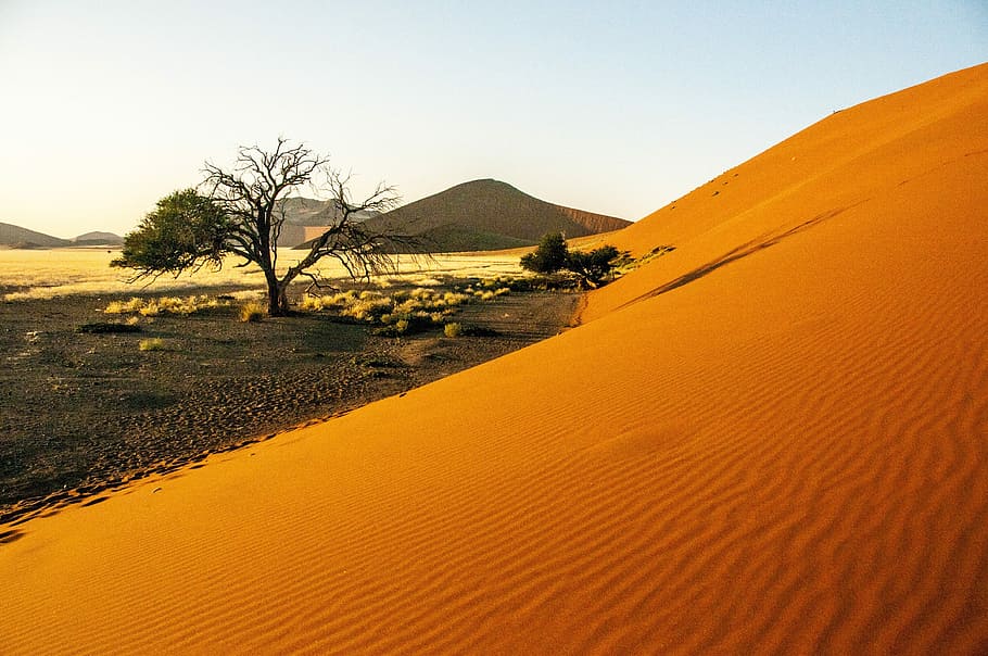 Namibia, Edge, Desert, wolwedans, namib edge, away, sand, nature, HD wallpaper