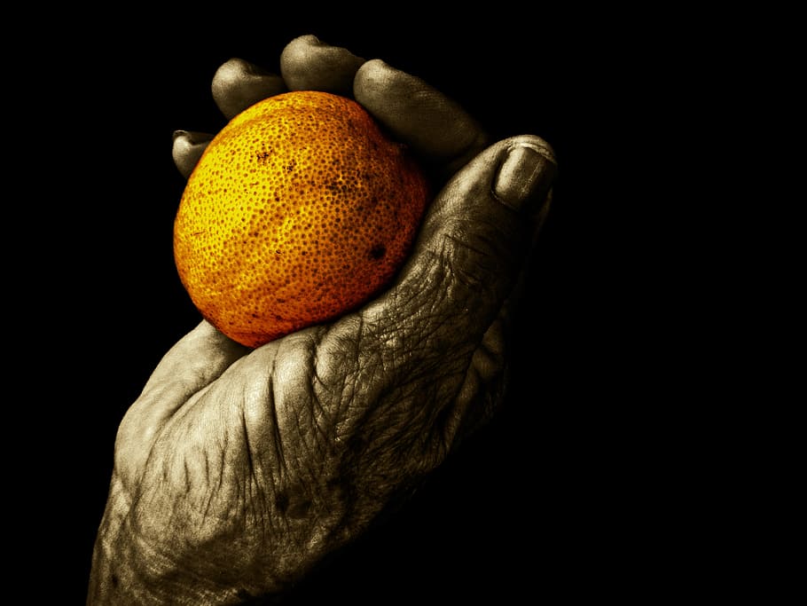 fruit, food, hand, elder, old, wrinkle, third age, lemon, skin HD wallpaper