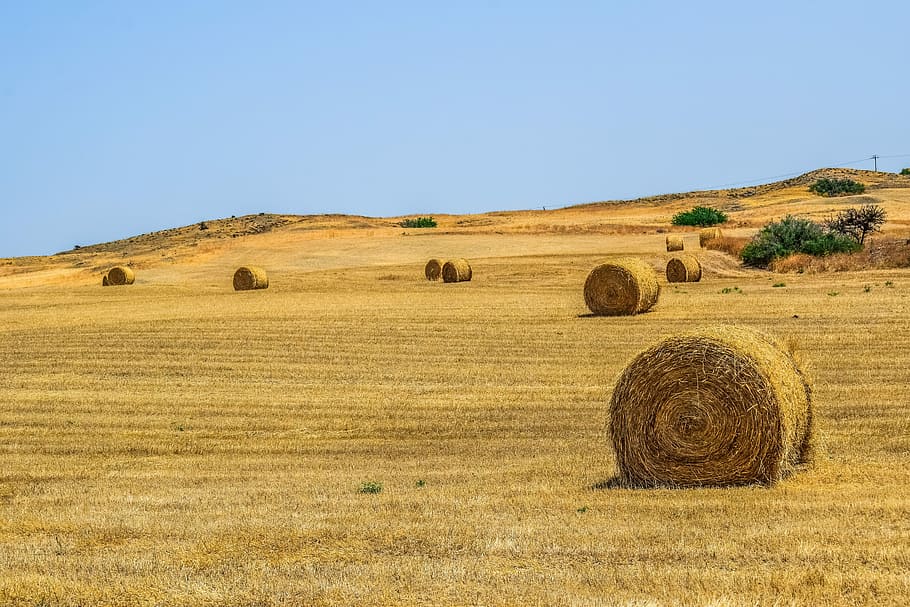 brown hay, landscape, dry, sky, hill, nature, countryside, hayfield, HD wallpaper