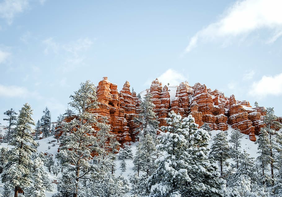 scenery of trees covered with snow, winter, sky, clouds, rock HD wallpaper