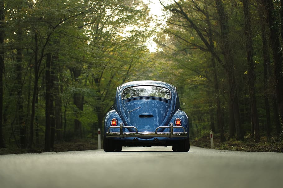 classic blue Volkswagen Beetle coupe on concrete road between trees, HD wallpaper