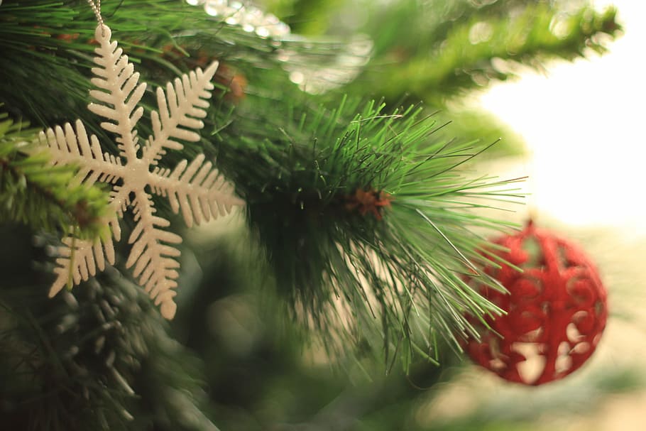 Christmas Tree, assorted-color Christmas decors, bauble, snowflake HD wallpaper