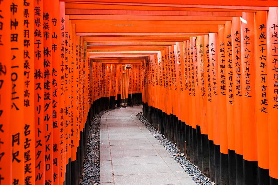 orange and black paper decors at daytime, photo of inside the orange and black building HD wallpaper