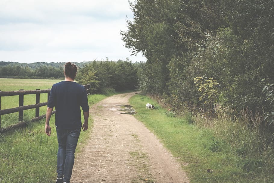 green, grass, path, trees, plants, nature, people, man, walking HD wallpaper