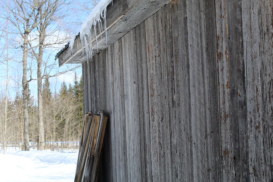 man, hut sugar, work, fort, maple syrup, nature, shed, sweeten, HD wallpaper