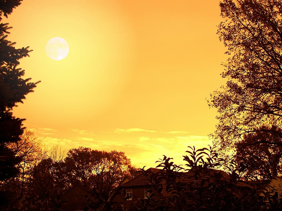afterglow, evening, sky, sunset, clouds, mood, tree, nature HD wallpaper