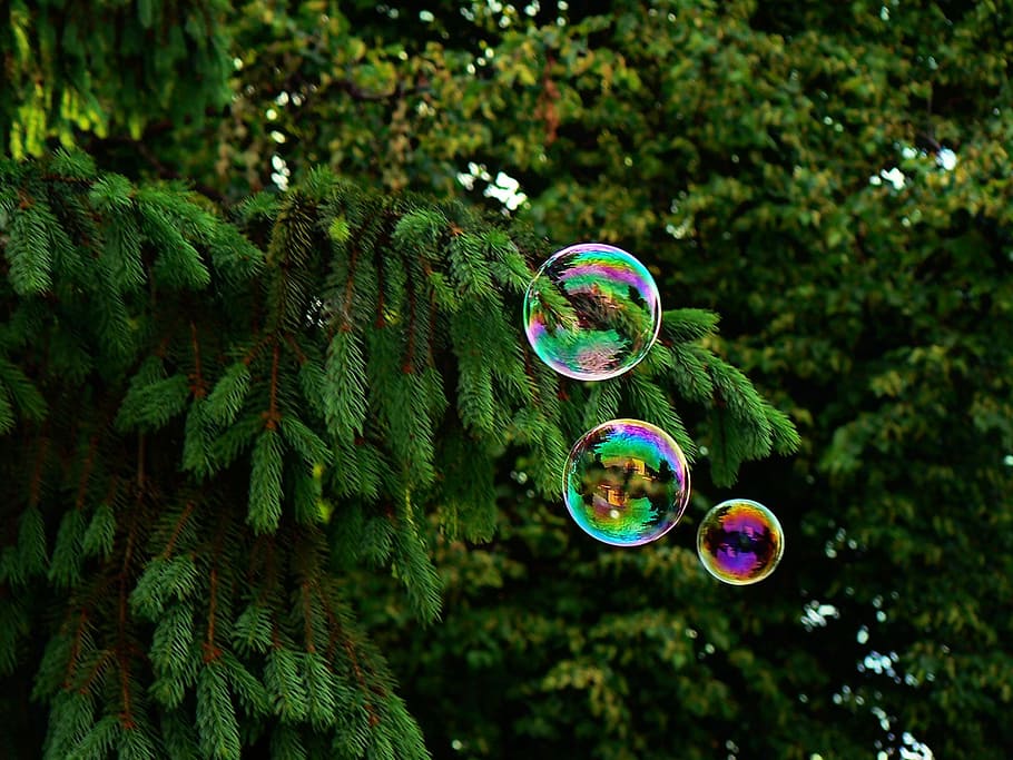 bubbles, day, kids, fragility, vulnerability, tree, mid-air HD wallpaper