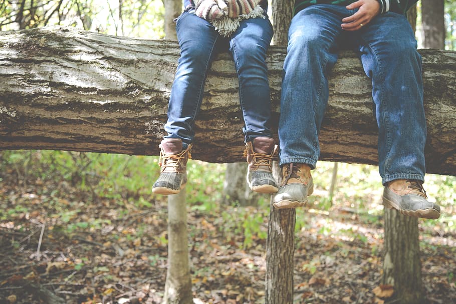 forest, woods, trees, log, nature, people, jeans, boots, outdoors HD wallpaper