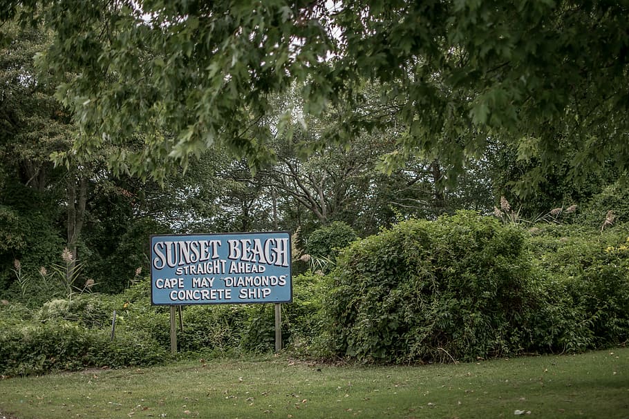 capemay, style, aesthetics, sign, nature, plant, text, tree HD wallpaper