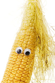 character, corn, corncob, cute, diet, eye, face, food, funny HD wallpaper