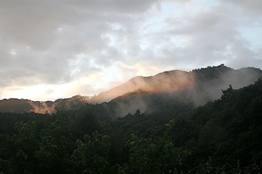 mountain, sky, landscape, tree, cloud - sky, environment, fog HD wallpaper
