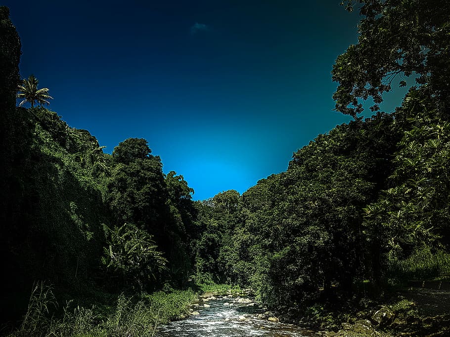 sky, beautiful, river, landscape, tree, mauritius, plant, the way forward HD wallpaper