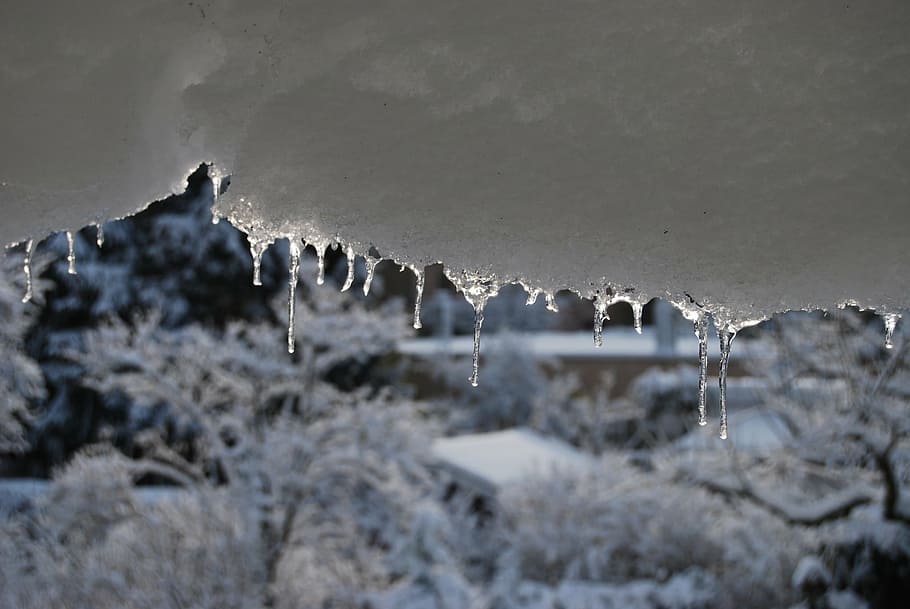 icicle, ice, snow, winter, nature, cold temperature, no people HD wallpaper