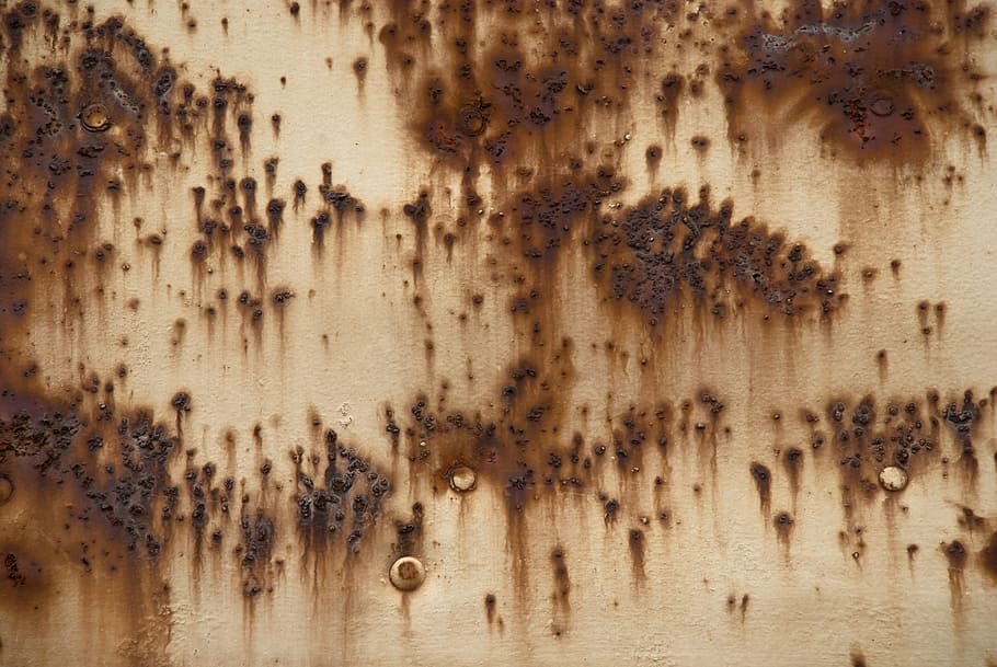 stainless, rusty, metal, background, animal themes, no people HD wallpaper