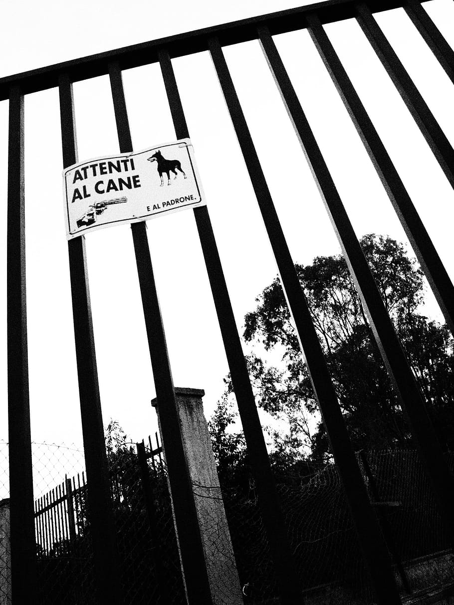 gate, signal, dog, black And White, text, low angle view, tree HD wallpaper