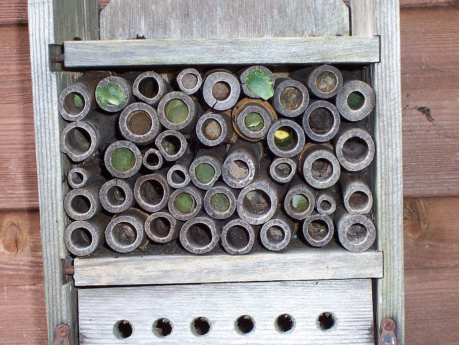 insect house, leaf-cutter bees, mason bees, leaves, mud, wood HD wallpaper