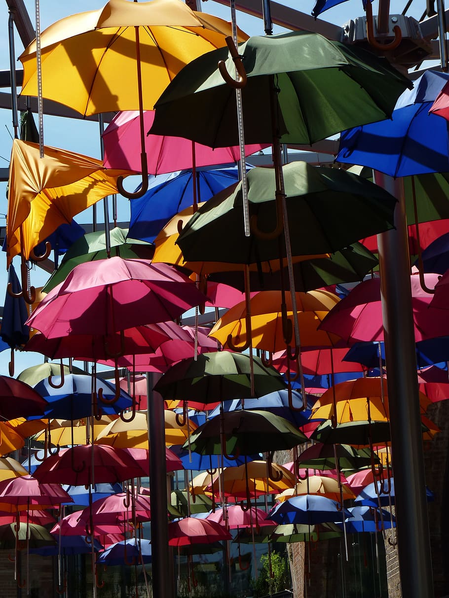 Screen, Umbrella, Colorful, Shade Tree, protection, sunlight HD wallpaper