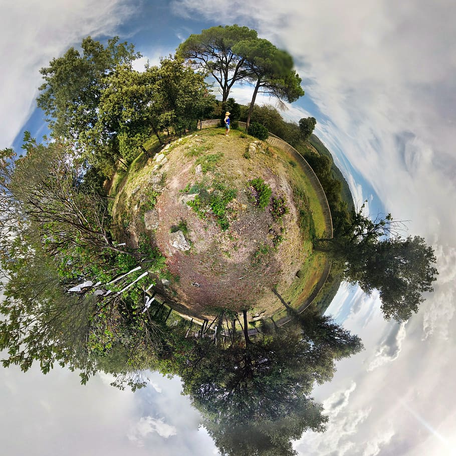 Hd Wallpaper 360 Degree Photography Of Forest Planet Green Natural