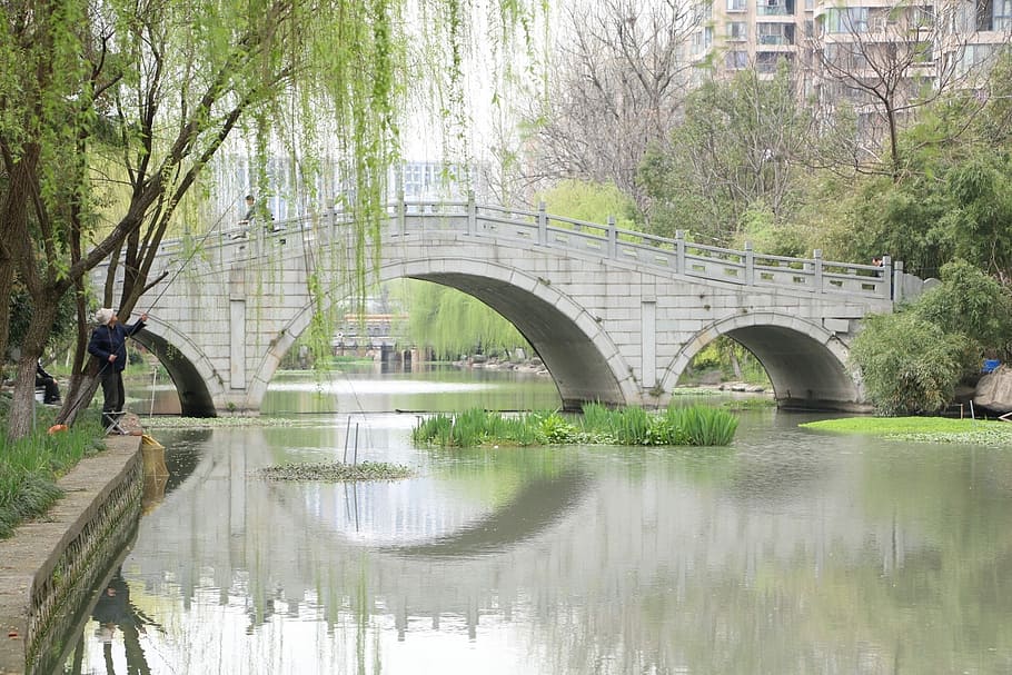 bridge, waters, river, nature, bridge - man made structure HD wallpaper