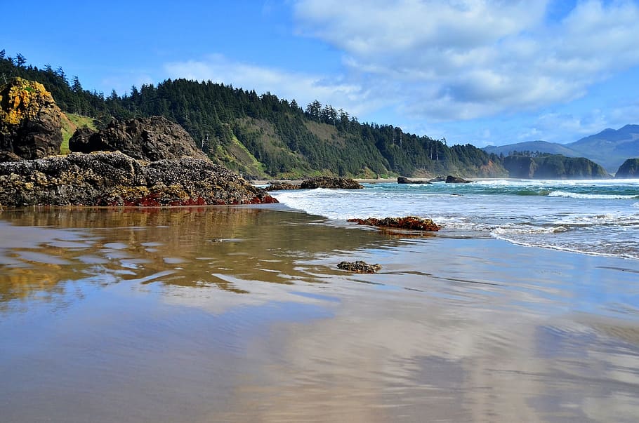 beach, coast, northwest, sand, water, sea, ocean, summer, nature HD wallpaper