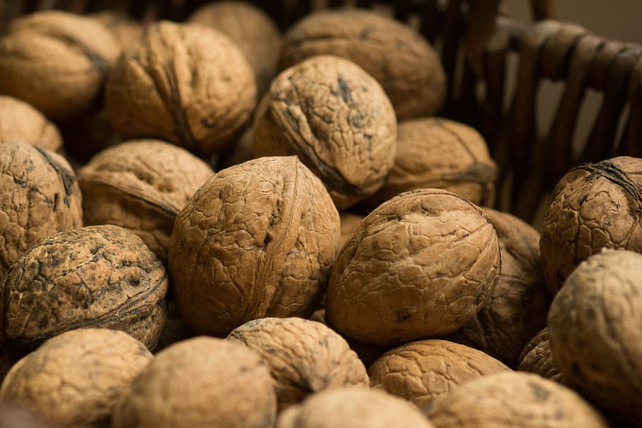 walnuts, nut fruit, juglans, real walnut, food, snack, walnut collection, HD wallpaper