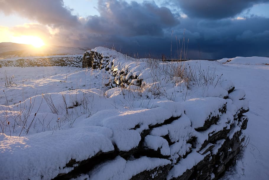 snow, winter, white, cold, weather, ice, trees, plants, nature HD wallpaper