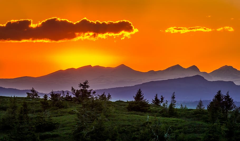 hill with trees and grasses under clouds, sunset, landscape HD wallpaper