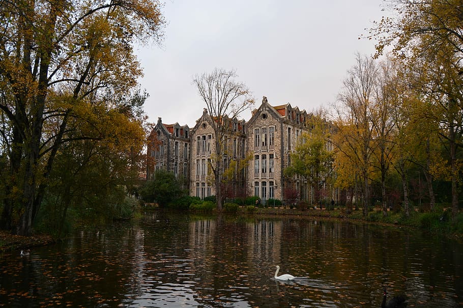 gray concrete wall building, architecture, old, lake, water HD wallpaper