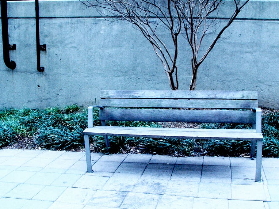 bench, city, empty, seat, plant, tree, absence, no people, architecture HD wallpaper