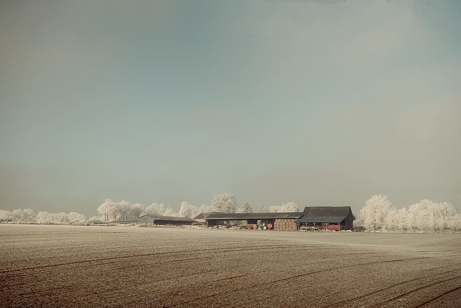 building, house, landscape, sky, cloud, trees, plant, nature HD wallpaper