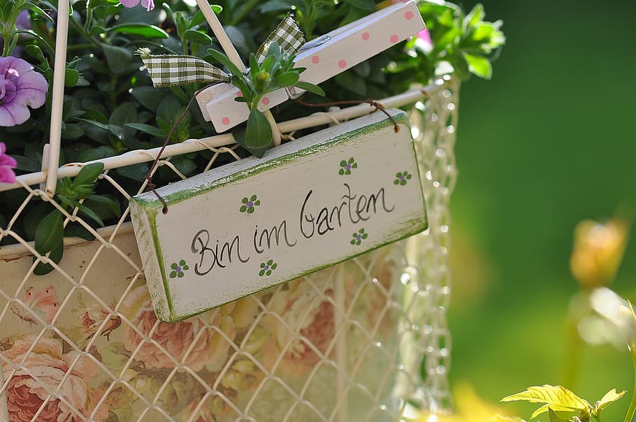 Bim im garten, garden, basket, summer, text, western script HD wallpaper