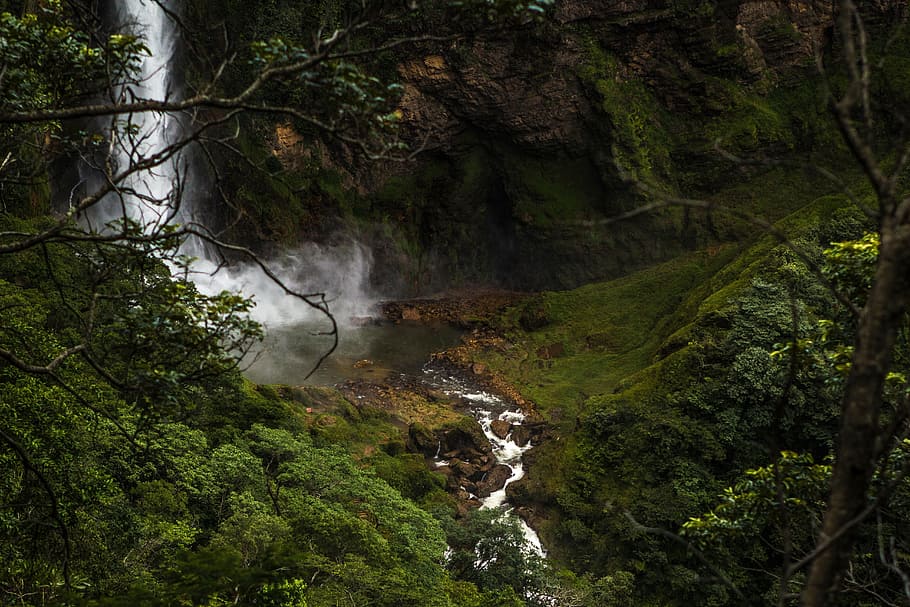 waterfall, green, grass, trees, branch, plant, river, stream HD wallpaper