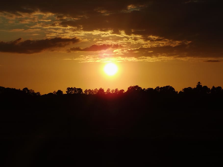 Sun, Evening, Sunset, Outdoor, Summer, mood, nature, silhouette HD wallpaper