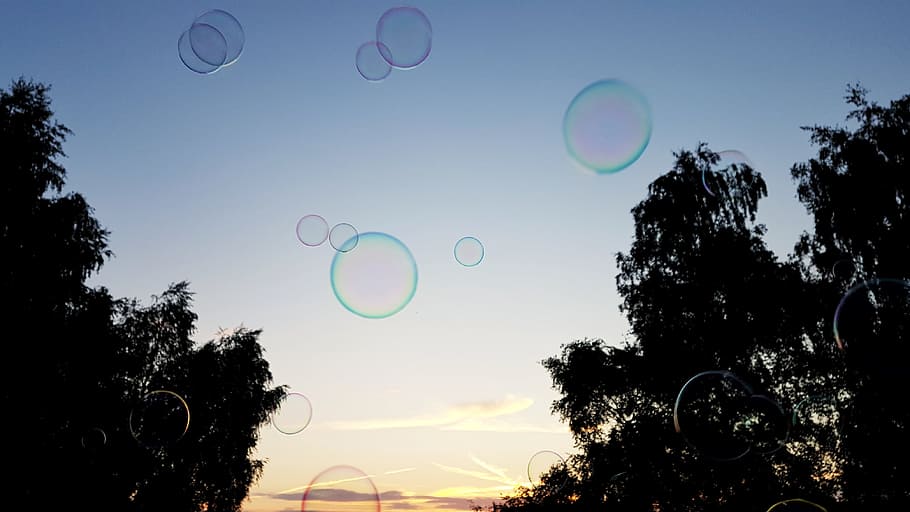 soap bubbles, night, evening, tree, landscape, plant, sky, mid-air HD wallpaper