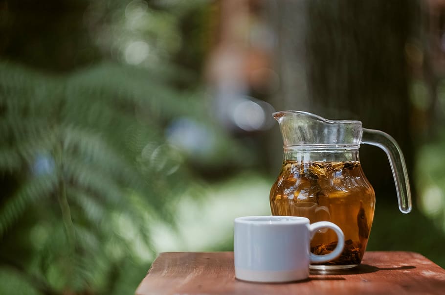coffee cup beside glass pitcher, mug, trees, leaves, nature HD wallpaper